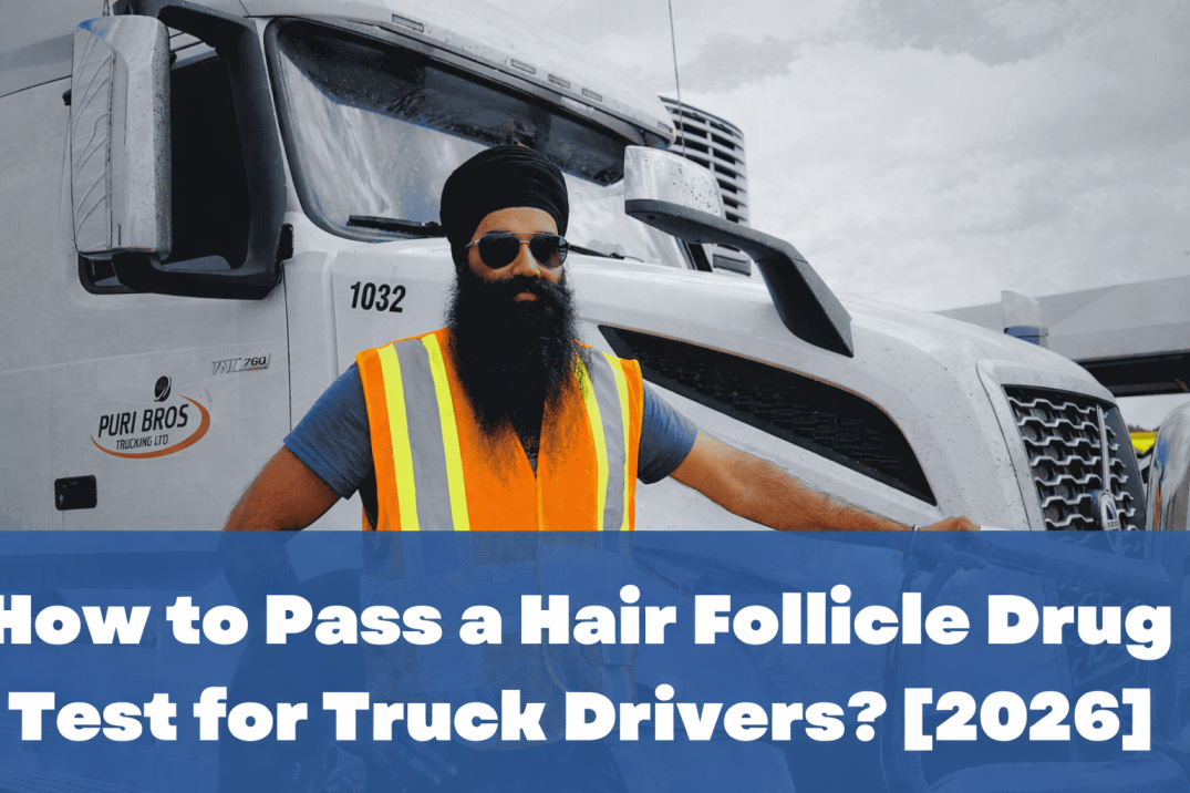 How to Pass a Hair Follicle Drug Test for Truck Drivers? [2026]